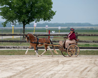 Wisconsin - Illinois Driving Enthusiasts Show