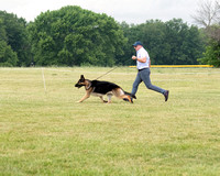 242 GCH Frankenhaus Afterburner