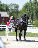 WI - IL Driving Enthusiasts Old World WI Drive