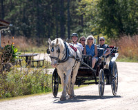 White Horse & Smiling Crew