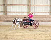 Wisconsin Illinois Driving Enthusiasts Open Show