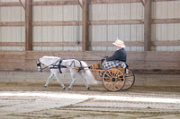 79 Connie Boldt & Aloha Acres Streaking in the Ring